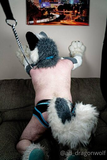 ad_dragonwolf