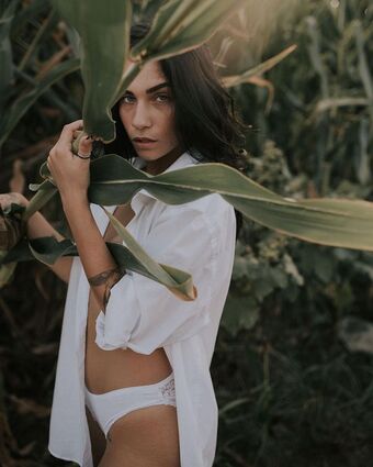 Adi Tal