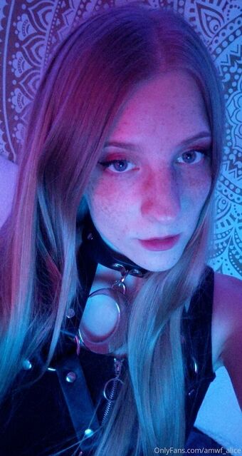 amwf_alice