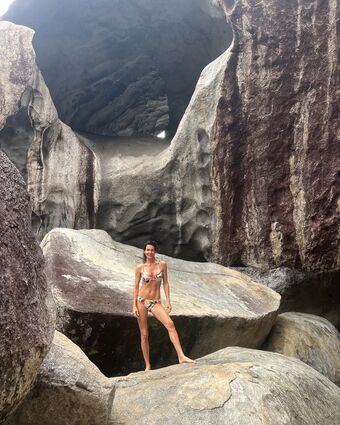 Angie Harmon