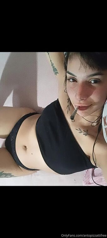 antonelitafree