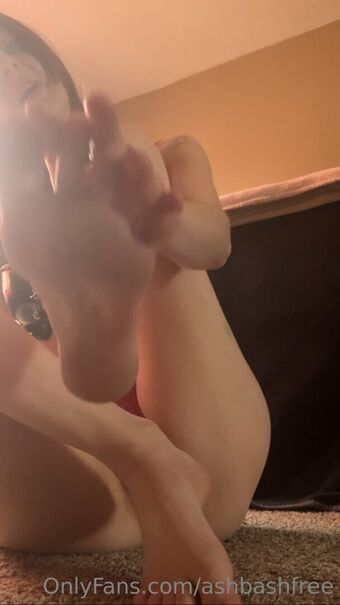 ashbashfree