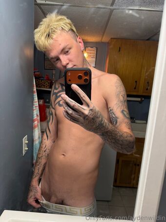 aydenwildin
