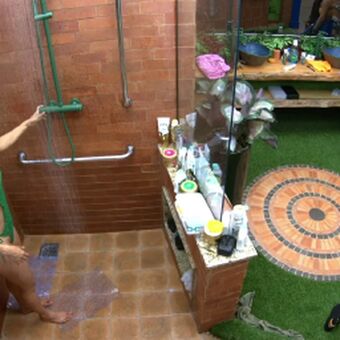 Big Brother Brasil 24