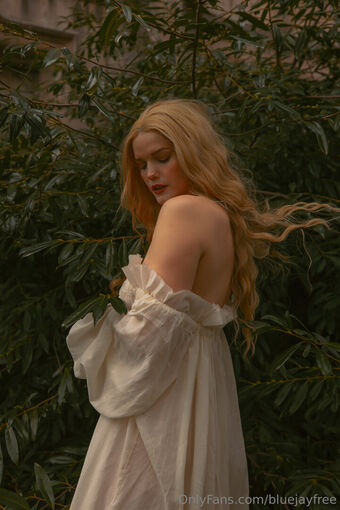 bluejayfree