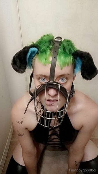 brattypuppybite