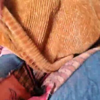 Cami Sweet Nagie Wycieki OnlyFans Zdjęcie 40