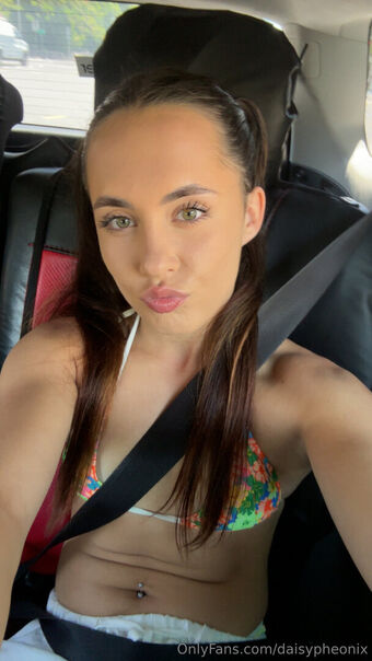 daisypheonix