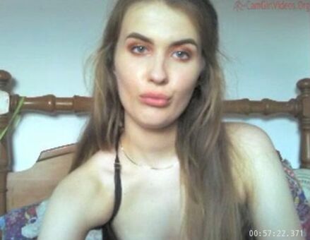 danibear23