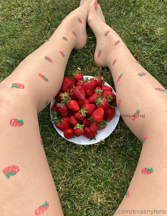 evasnylons