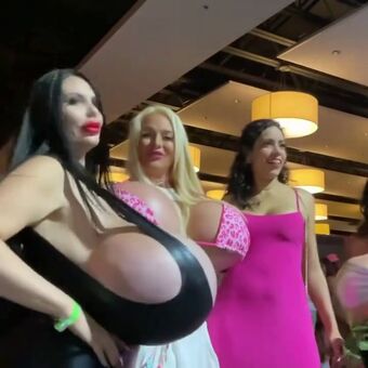 Foxy Menagerie Verre