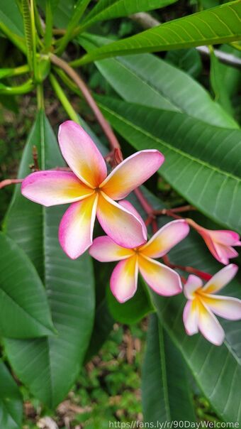 holisticsensual