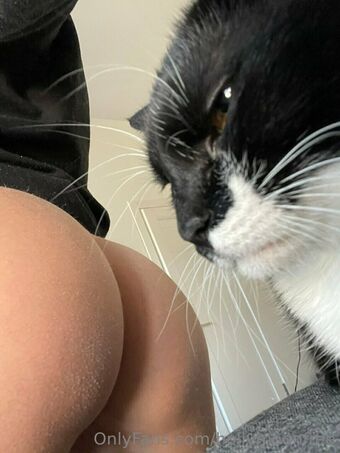 hollymoonvvip Nagie Wycieki OnlyFans Zdjęcie 3