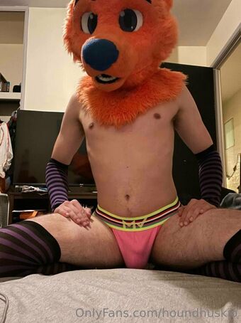 houndhuskio