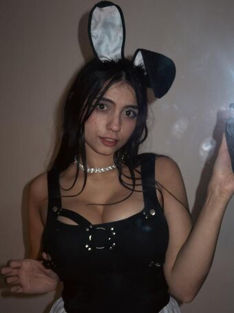 iaaras2