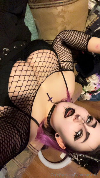 jamboscat1