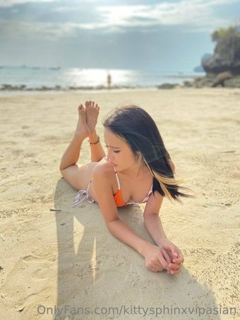 kittysphinxvipasian