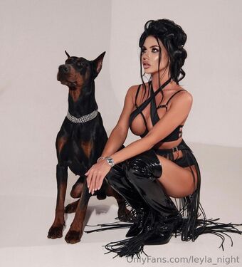 leyla_night