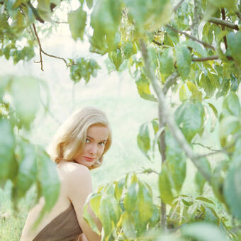 Linne Nanette Ahlstrand