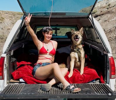 ltl_dog