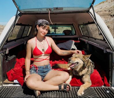 ltl_dog