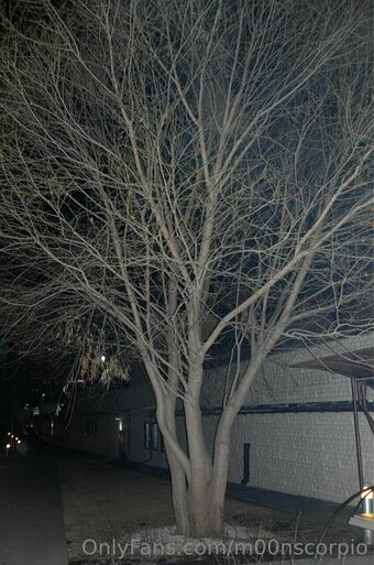 m00nscorpio
