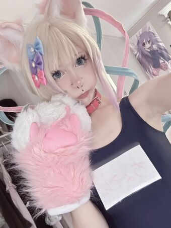 Mewsect