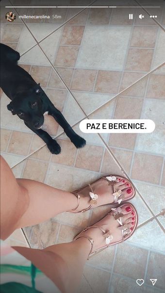 millenecarolina