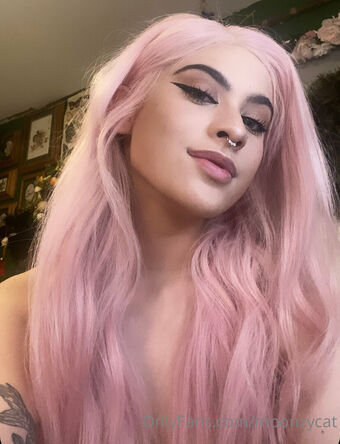 Moonzycat