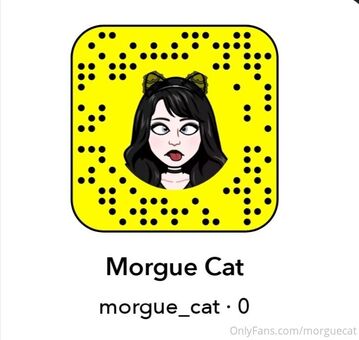 morguecat