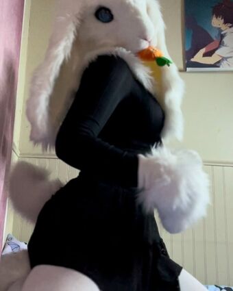 Murrsuit