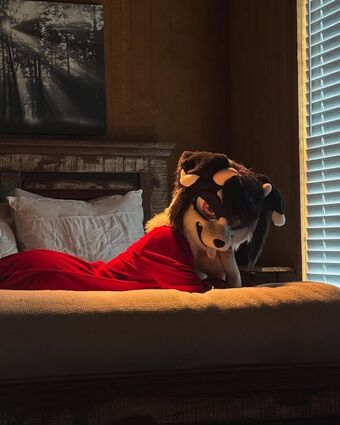 Murrsuit