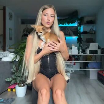 Noelli_fxe