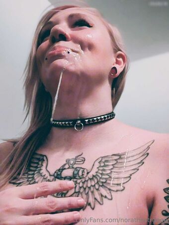norathestrange Nagie Wycieki OnlyFans Zdjęcie 26