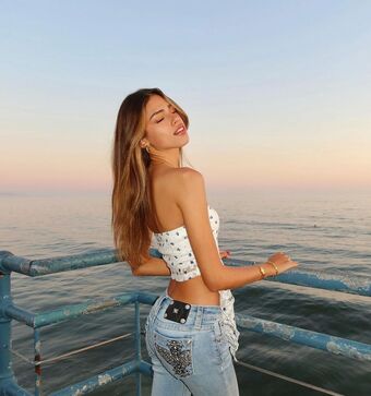 nottrebeca_