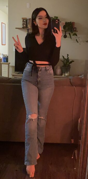 Novaleesi