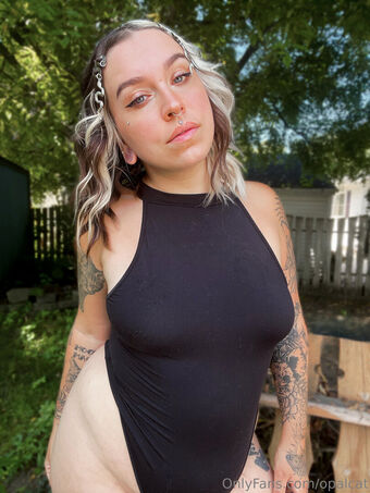 opalcat Nagie Wycieki OnlyFans Zdjęcie 17