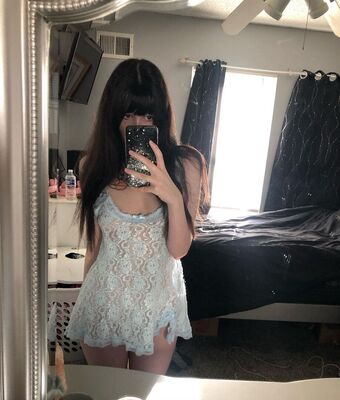 Palediary