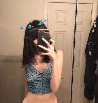 Palediary