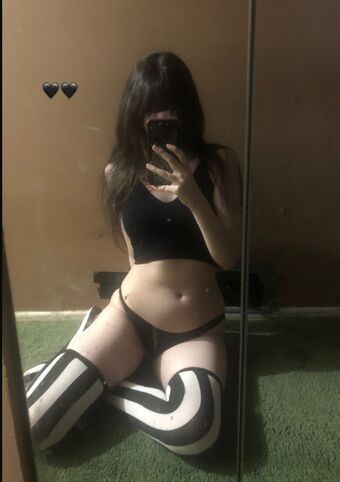 Palediary