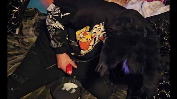 pawsheisty Nagie Wycieki OnlyFans Zdjęcie 7