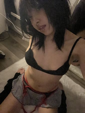puppy.com