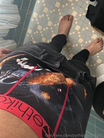 pythonpapi1041 Nagie Wycieki OnlyFans Zdjęcie 2