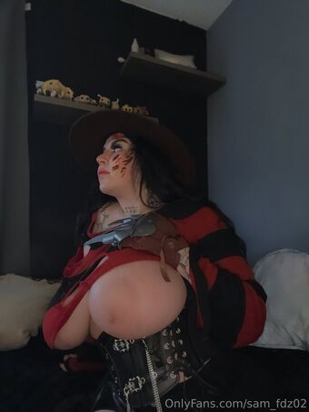 sam_fdz02