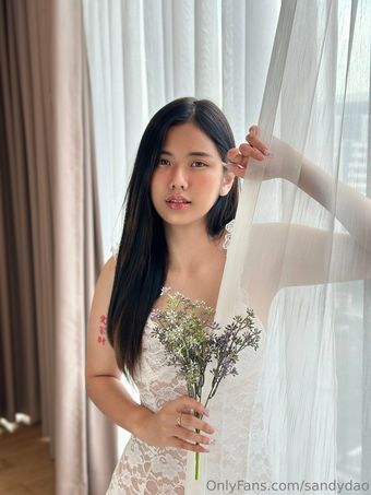 sandydao