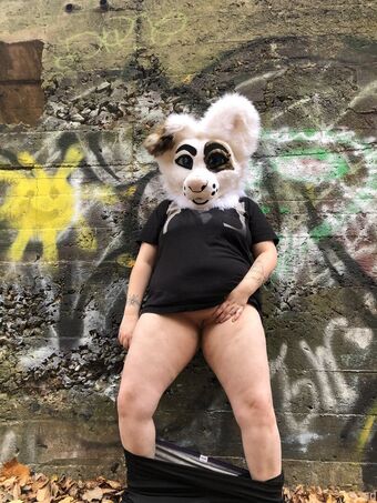 saoirsemutt