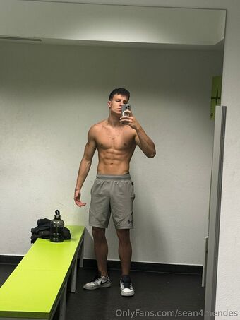 sean4mendes