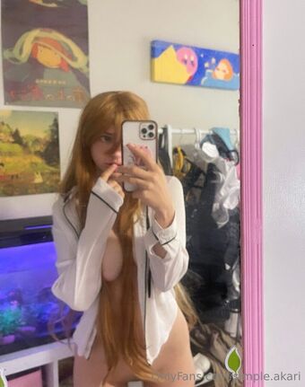 simple.akari