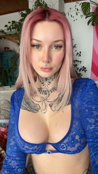 Stella wolf