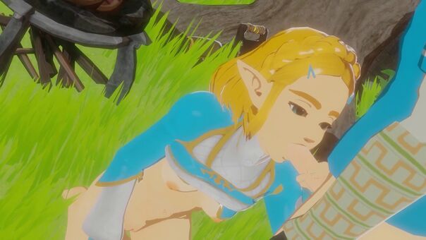 The Legend of Zelda Porn
